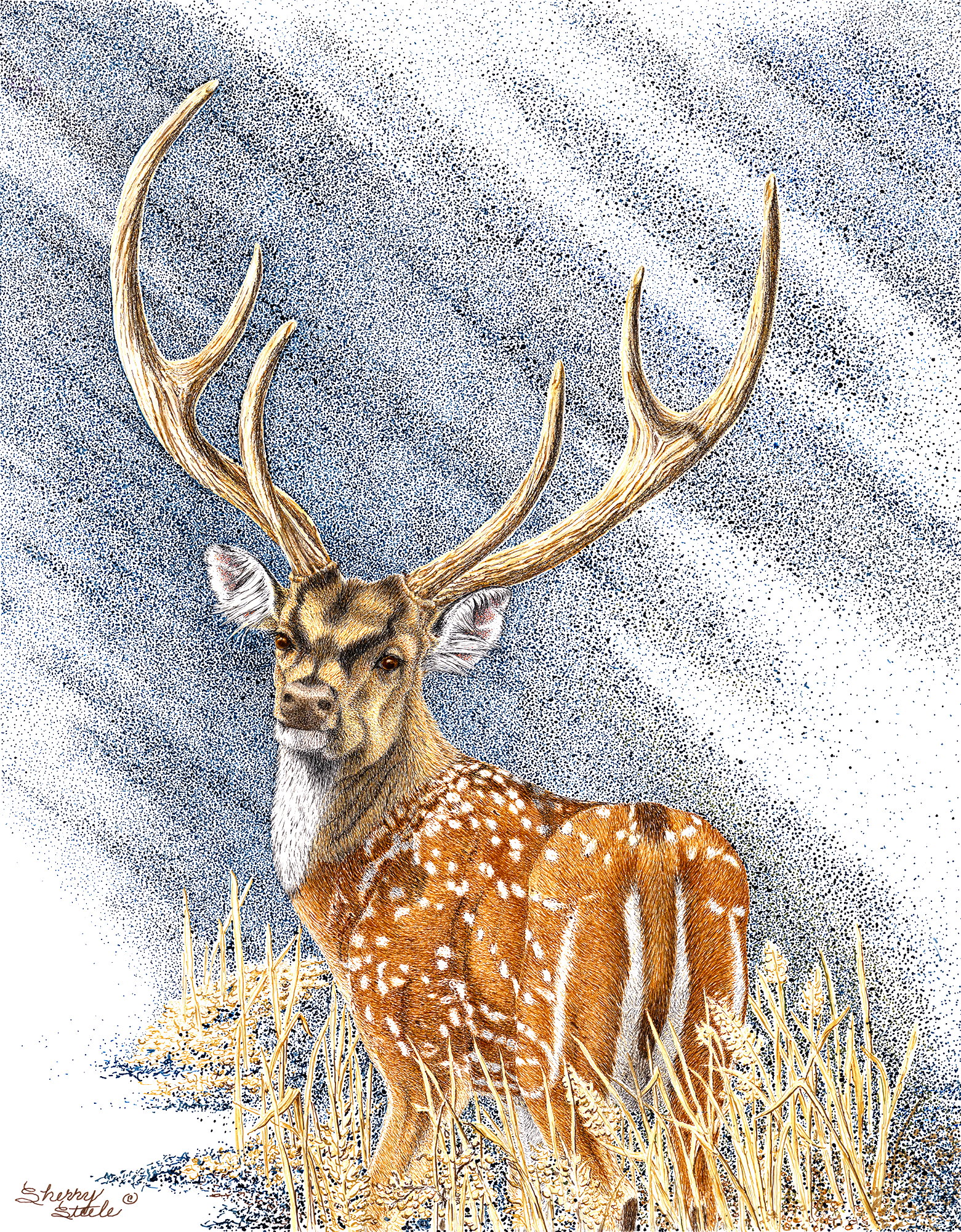 Fantasy Buck - Axis Deer - Sherry Steele